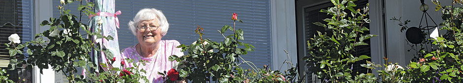 awo_home_sen11.jpg