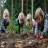 Waldgruppe - KInder pflanzen Bäume im Wald