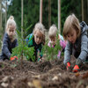 Waldgruppe - KInder pflanzen Bäume im Wald